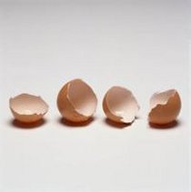A selection of eggs
