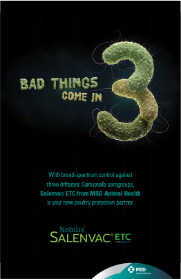 bad things come in 3