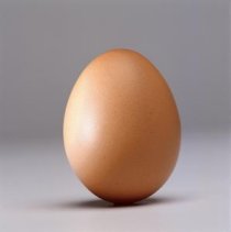 egg